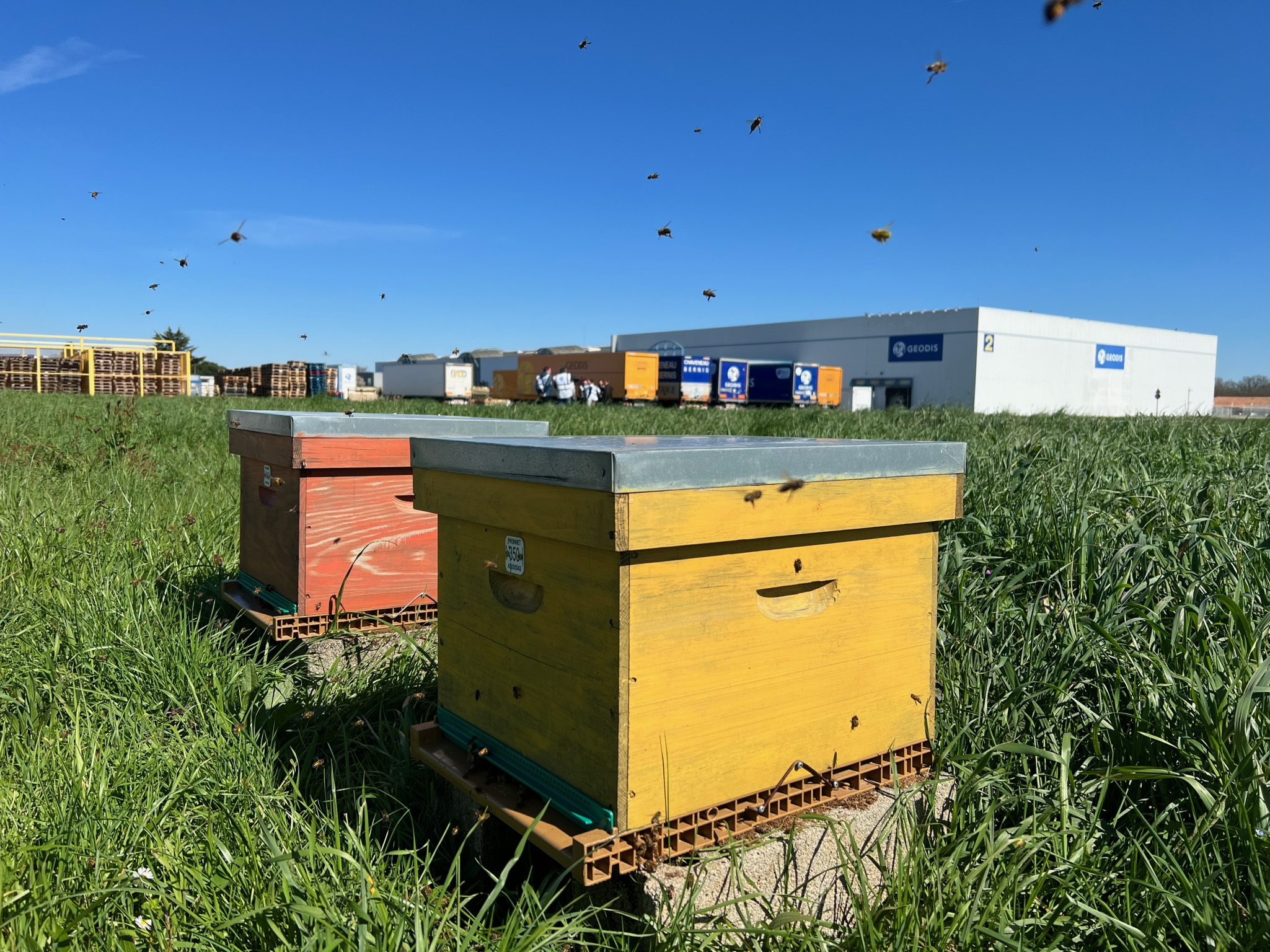 Geodis D&E Dissay Abeilles Apilab